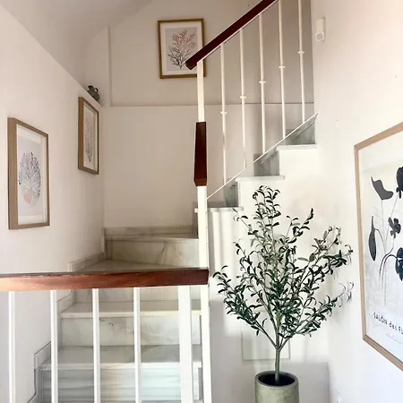 3 Bed Duplex Side Elviria Apartment